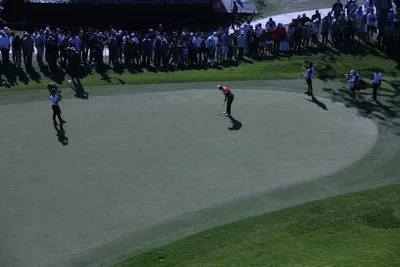 DSC_0739 (Large).JPG